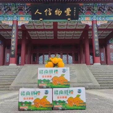 江西赣南脐橙一件代发顺丰包邮全国发货欢迎下单品尝