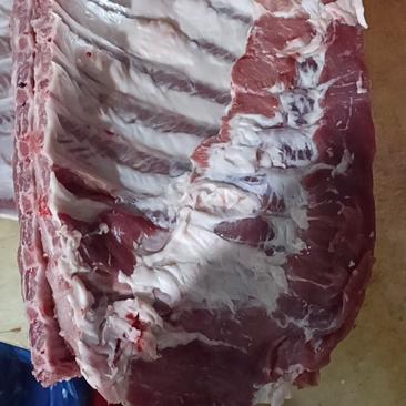 猪肉批发白条分割品热鲜品冻货