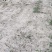 土地种植用地光伏用地沙土地黑土地