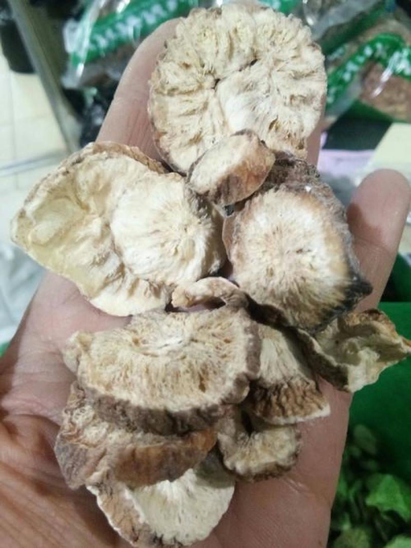 菊苣根菊苣茶干菊苣根茶散装质量保证欢迎咨询选购！