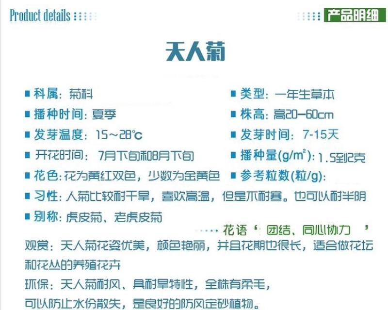 天人菊种子多年生宿根耐寒园林景观绿化花卉园艺花种籽子