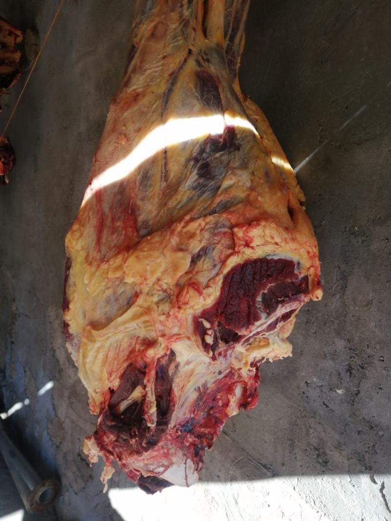 宰冬肉