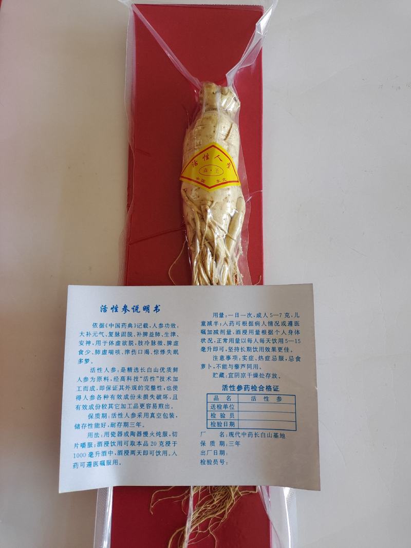 活性参，人参，低温冷冻干燥人参，香气浓郁，入口酥脆