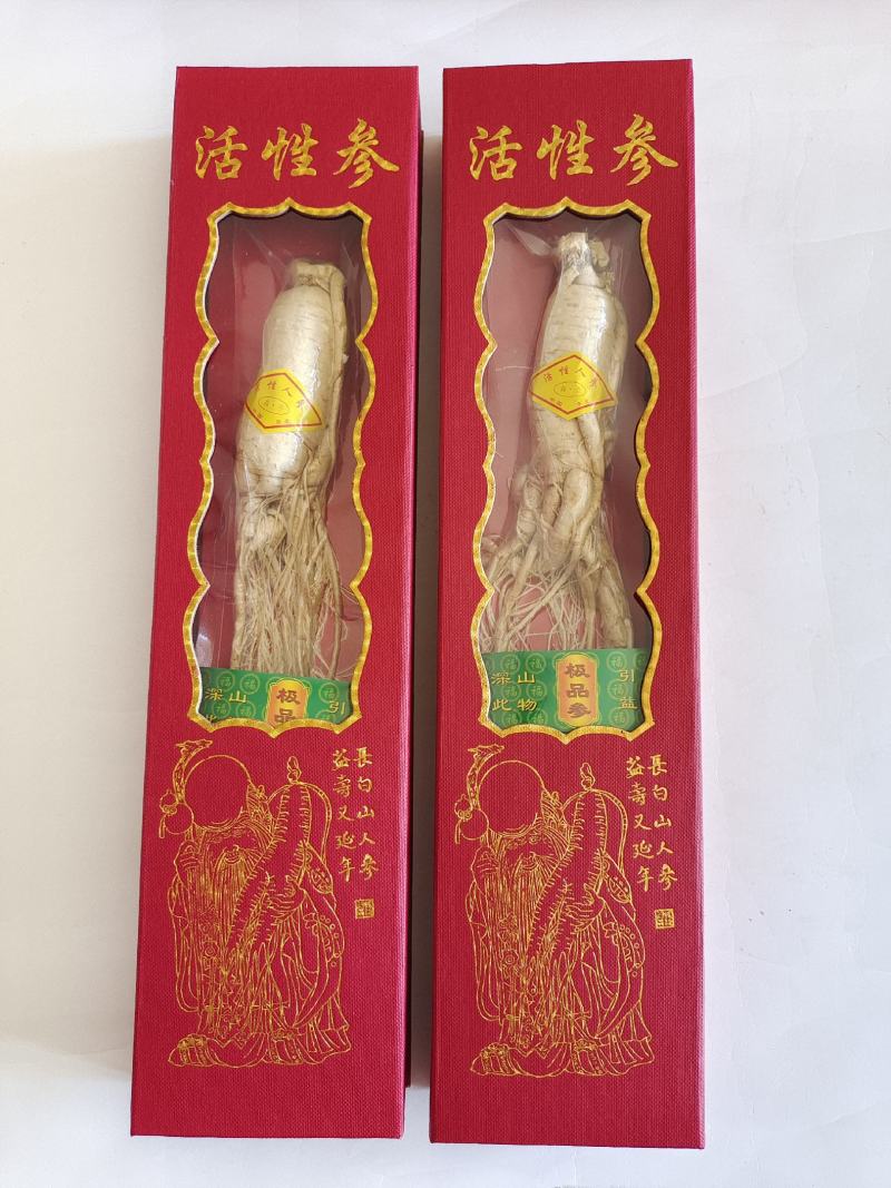 活性参，人参，低温冷冻干燥人参，香气浓郁，入口酥脆