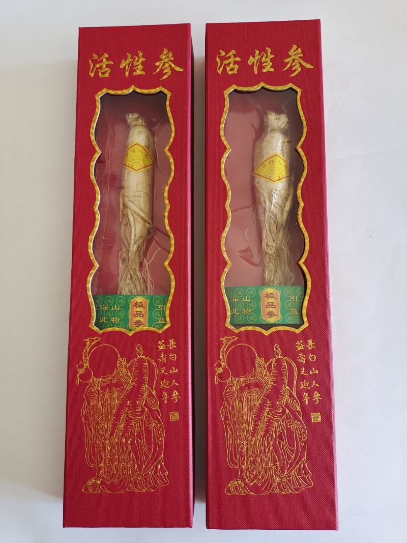 活性参，人参，低温冷冻干燥人参，香气浓郁，入口酥脆