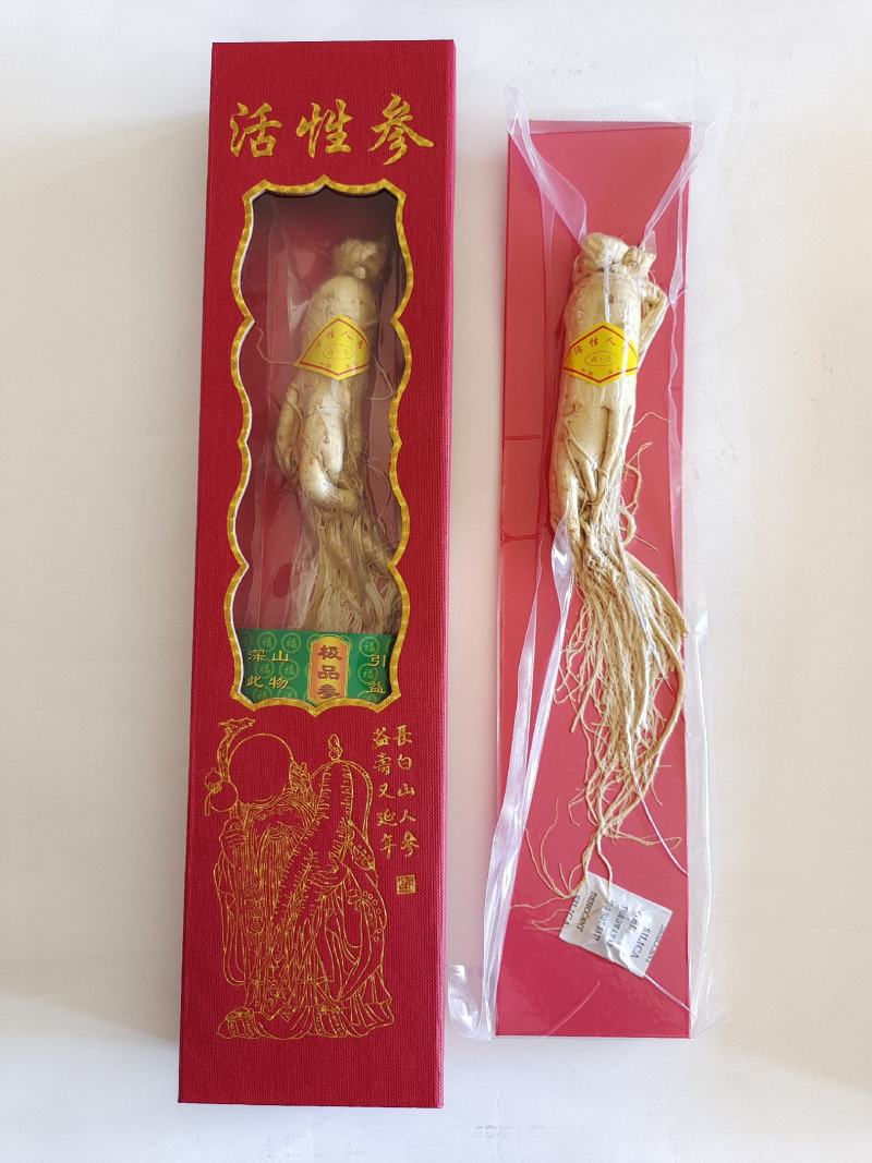 活性参，人参，低温冷冻干燥人参，香气浓郁，入口酥脆