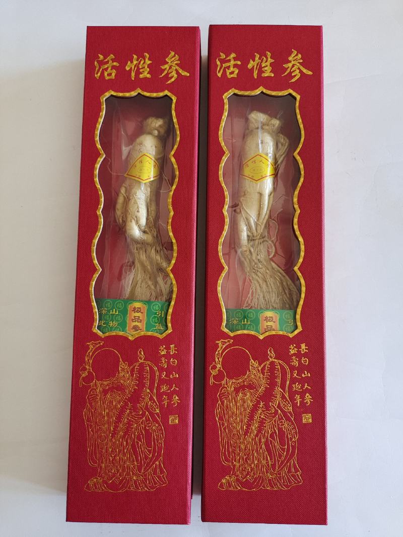 活性参，人参，低温冷冻干燥人参，香气浓郁，入口酥脆