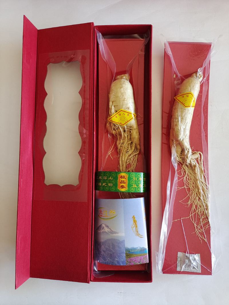 活性参，人参，低温冷冻干燥人参，香气浓郁，入口酥脆