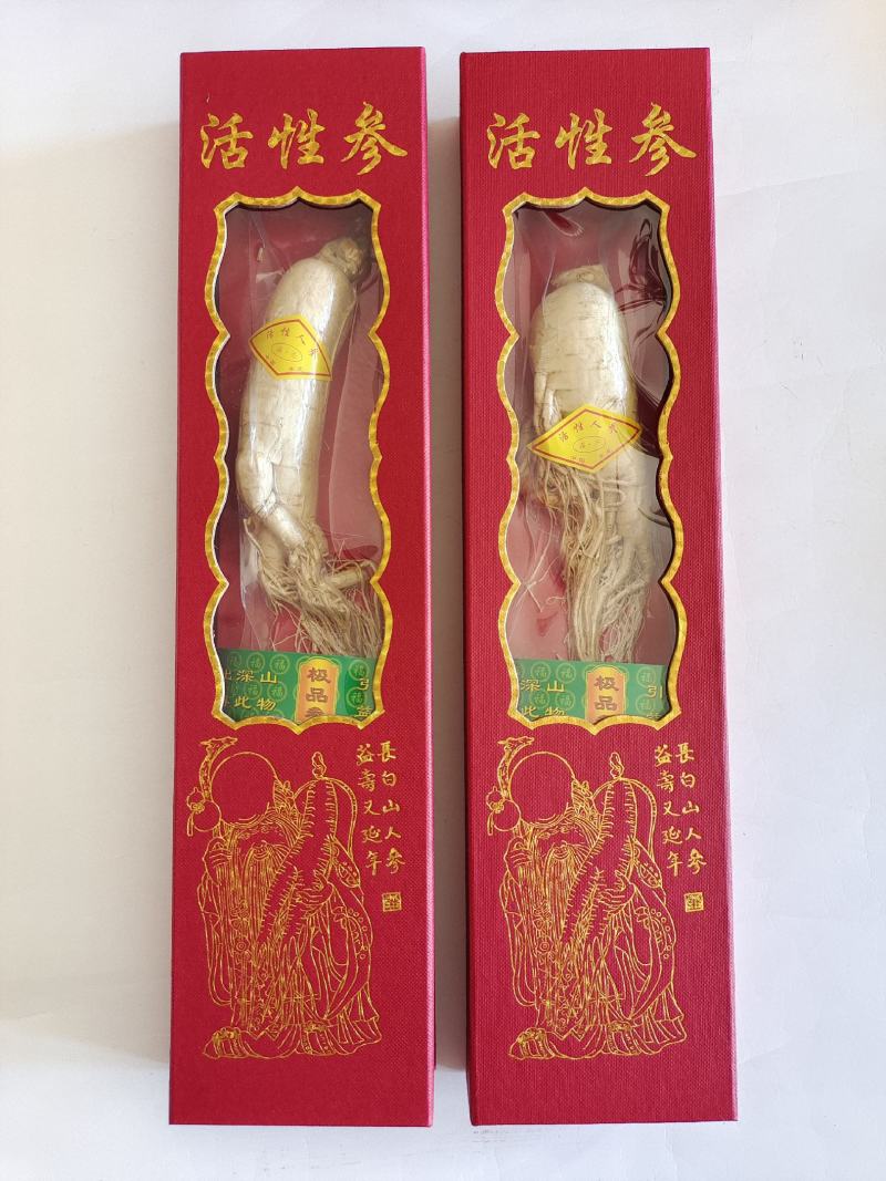 活性参，人参，低温冷冻干燥人参，香气浓郁，入口酥脆