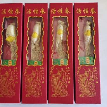 活性参,人参,低温冷冻干燥人参,香气浓郁,入口酥脆