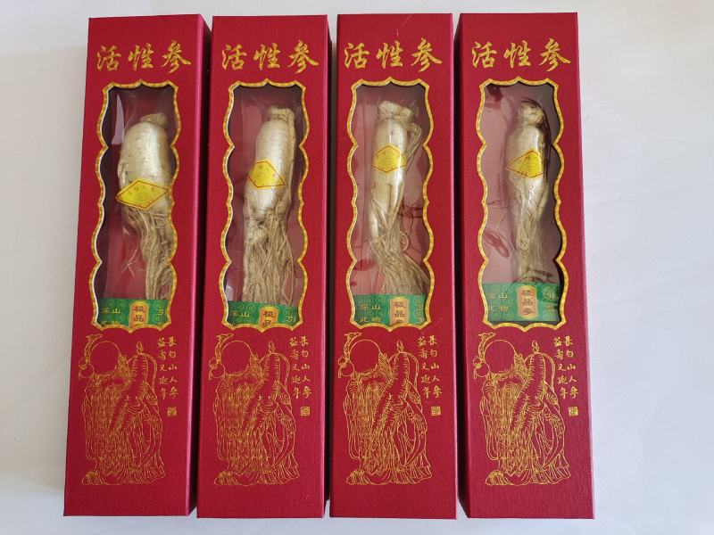 活性参，人参，低温冷冻干燥人参，香气浓郁，入口酥脆