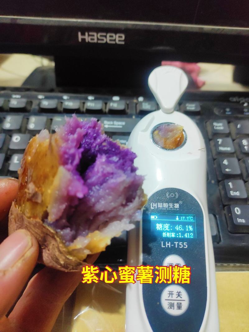 紫雪蜜薯花心薯高糖紫心薯高端蜜薯新品种