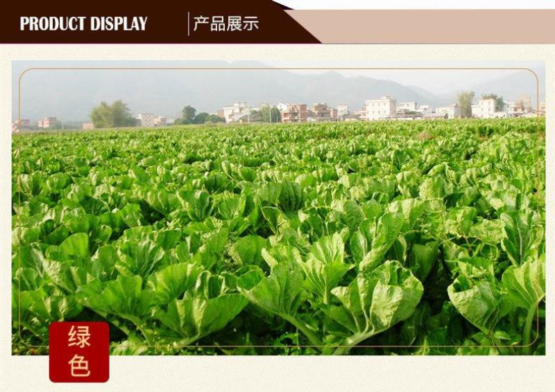 梅菜