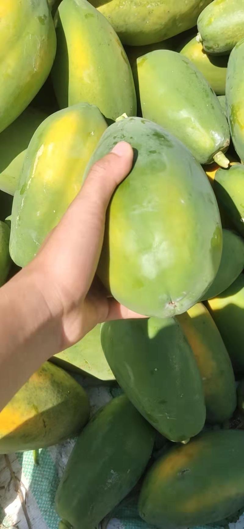 木瓜