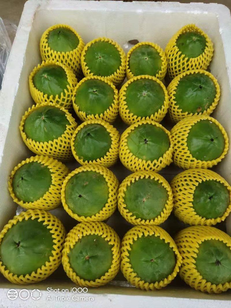 木瓜