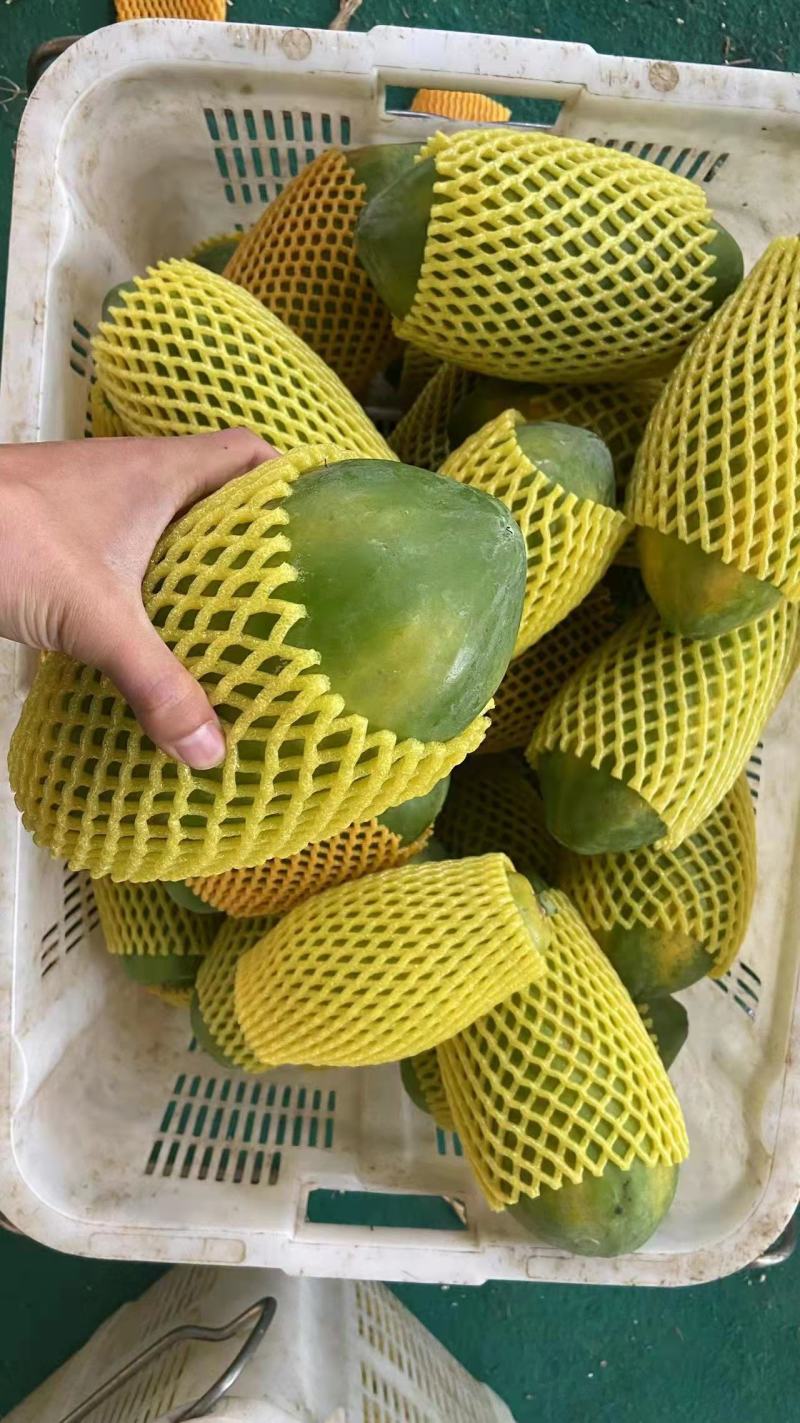 木瓜