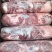 【骆驼肉】当地草原的骆驼肉！新鲜速冻卷包都有随机，量大优