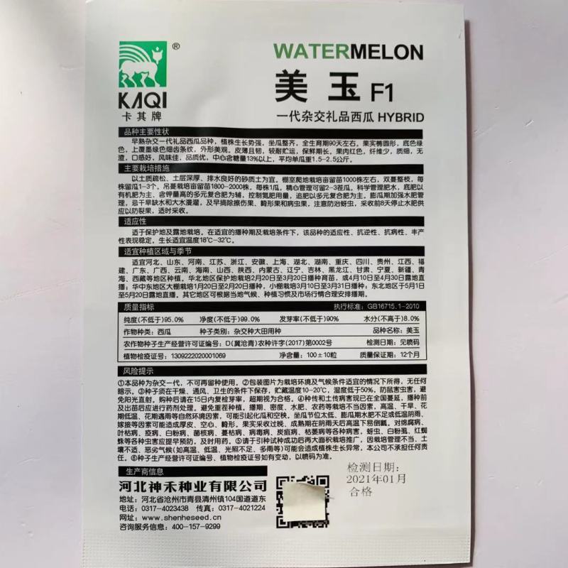 一代杂交美玉礼品西瓜种子早熟椭圆形小西瓜种子红瓤皮薄韧