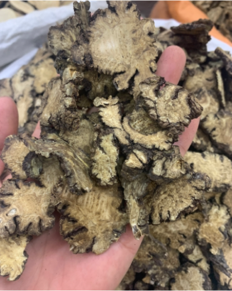 川芎无硫磺熏蒸一公斤起批
