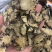 川芎无硫磺熏蒸一公斤起批