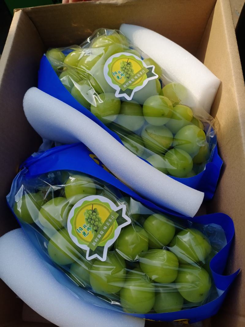 冷库的精品阳光玫瑰出库了，各种等级，还有大量的巨峰框装的