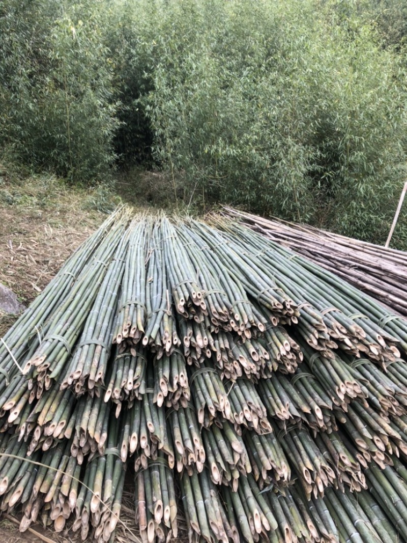 竹杆支撑杆3-8米大量供应基地直供