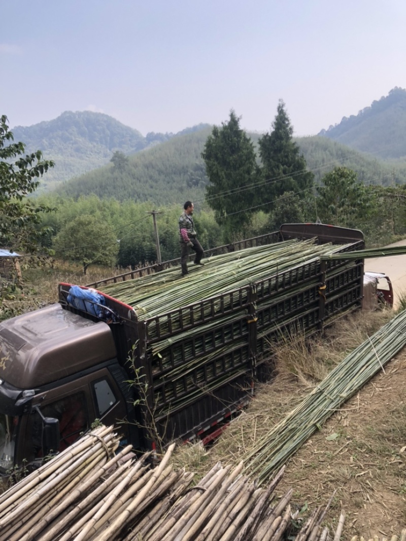 竹杆支撑杆3-8米大量供应基地直供