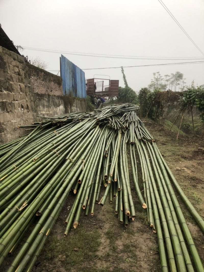 竹杆支撑杆3-8米大量供应基地直供