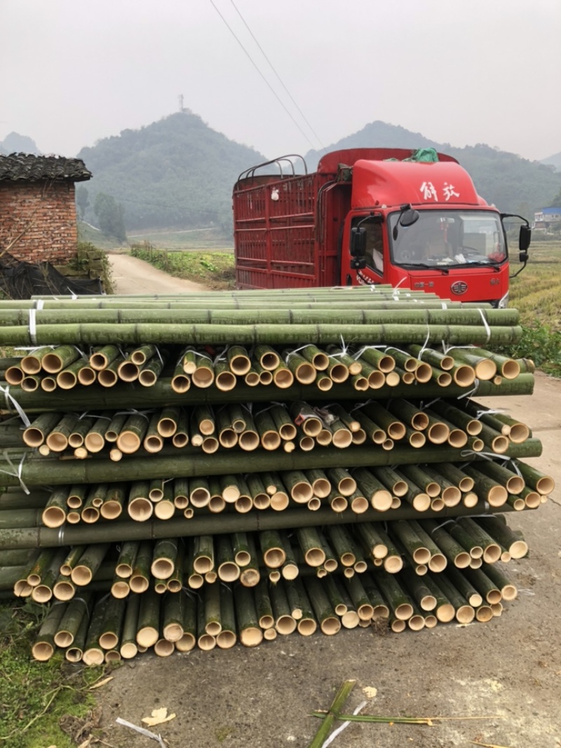 竹杆支撑杆3-8米大量供应基地直供