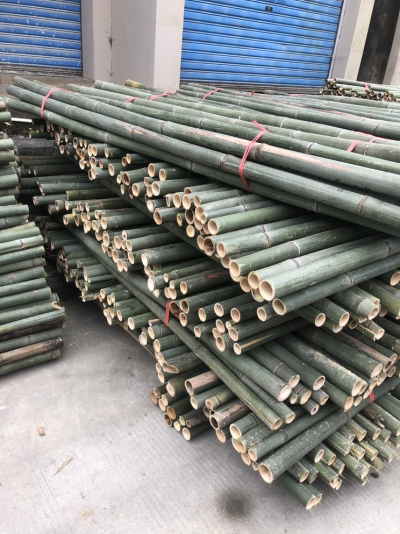 竹杆支撑杆3-8米大量供应基地直供
