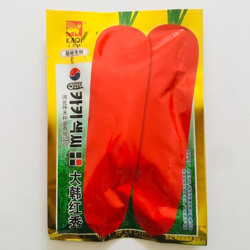 卡其大韩红秀胡萝卜种子基地专用表皮光滑根形美观