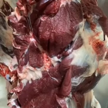 国产纯干鲜牛肉，厂家直销一件也是批发价，质量保证，诚信经
