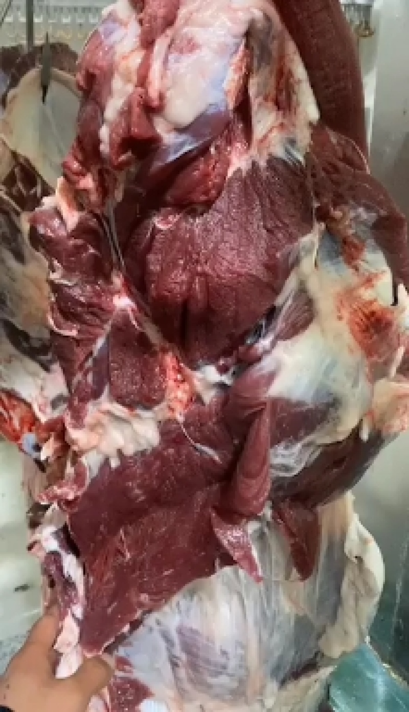 国产纯干鲜牛肉，厂家直销一件也是批发价，质量保证，诚信经