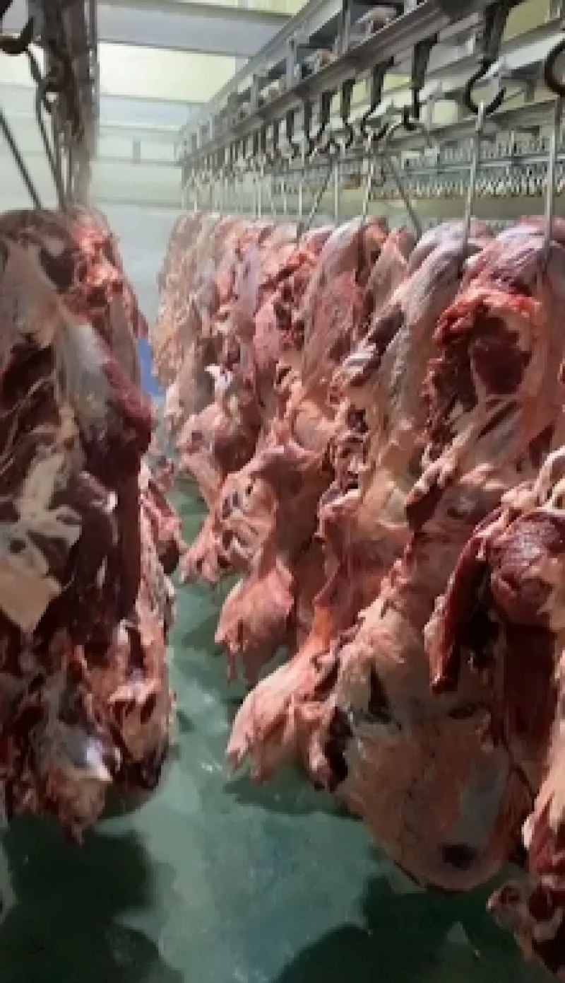 国产纯干鲜牛肉，厂家直销一件也是批发价，质量保证，诚信经