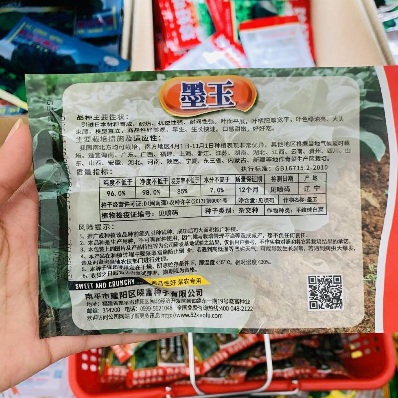 晓富墨玉青梗菜种子大头束腰青菜耐热耐雨口感甜嫩菜种子