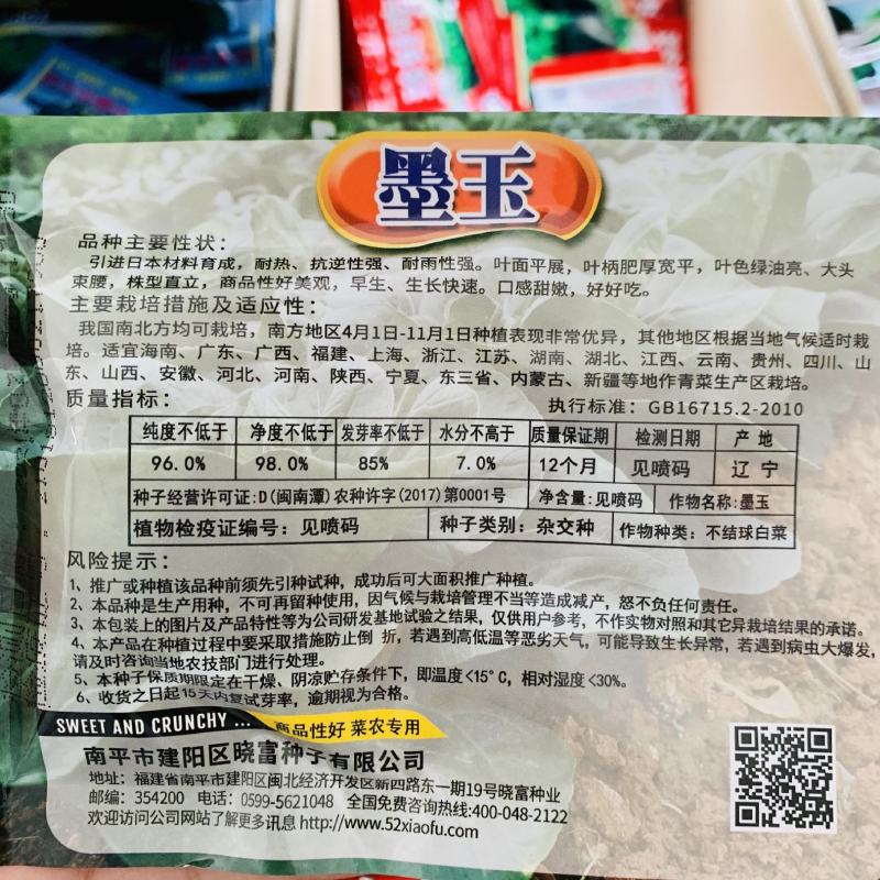 晓富墨玉青梗菜种子大头束腰青菜耐热耐雨口感甜嫩菜种子