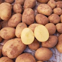陕北纯沙地土豆，V7土豆，薯形好，颜色好看，口产地直发，