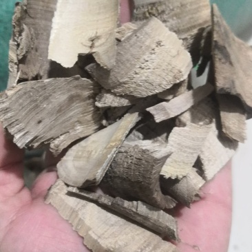 山胡椒根保证正品干货不满意可退换货
