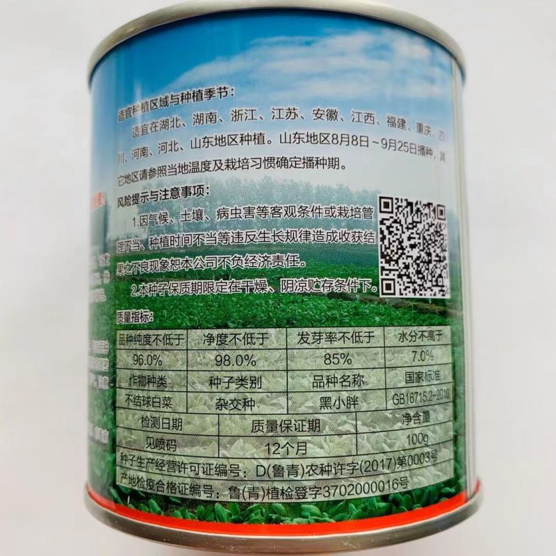 青硕黑小胖青梗菜种子矮萁黑绿束腰抗病苏州青油菜种子
