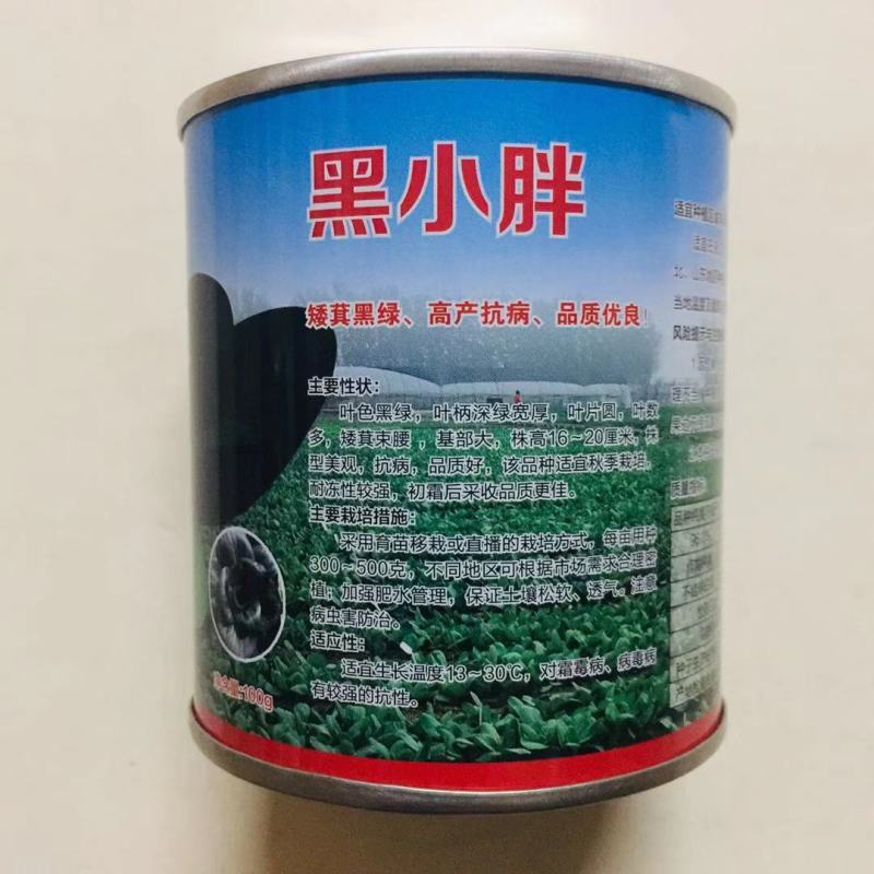 青硕黑小胖青梗菜种子矮萁黑绿束腰抗病苏州青油菜种子