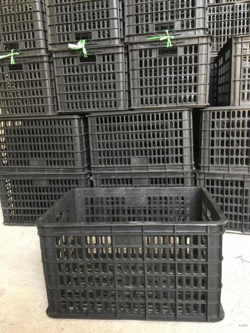 塑料筐厂家直销，专供水果蔬菜商家使用，质量保证欢迎采购