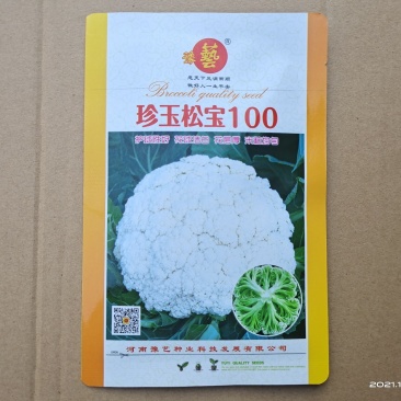 珍玉松宝100松花菜种子半松高产青梗松花豫艺种业