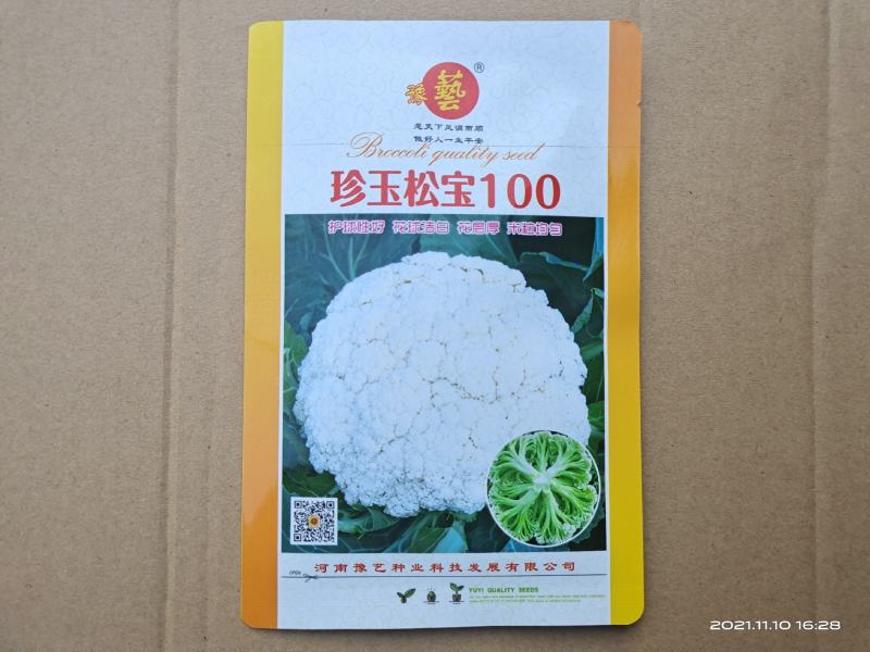 珍玉松宝100松花菜种子半松高产青梗松花豫艺种业
