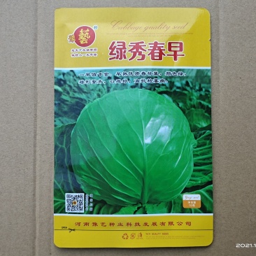 绿秀春早甘蓝种子豫艺种业绿球高产抗病早熟