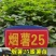 哈密红薯苗哈蜜红薯苗哈密地瓜苗冰糖心薯苗紫薯苗