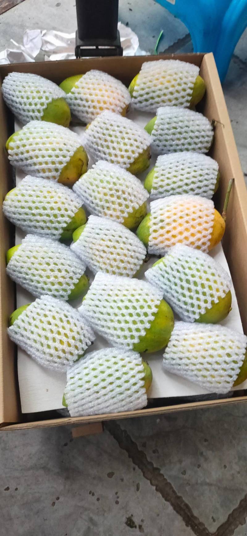 海南芒果贵妃大量上市中产地代办产地直发