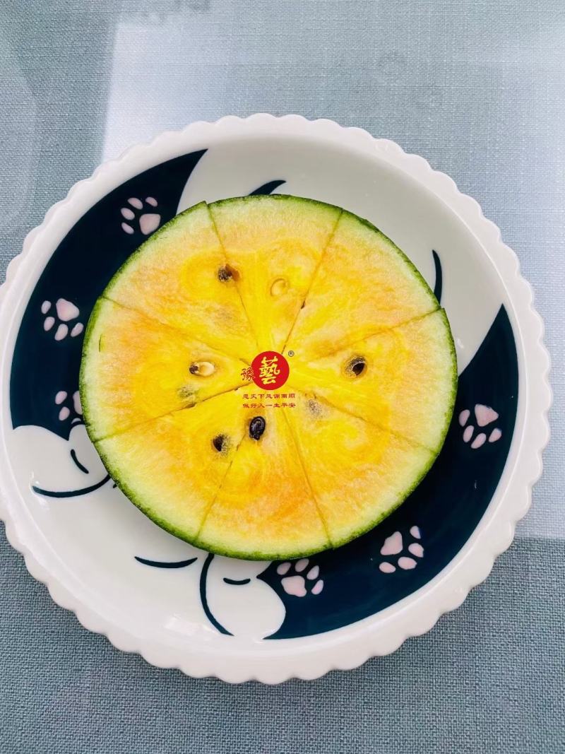 彩虹瓜之宝西瓜种子豫艺种业正宗彩虹西瓜口感酥脆冰淇淋味道