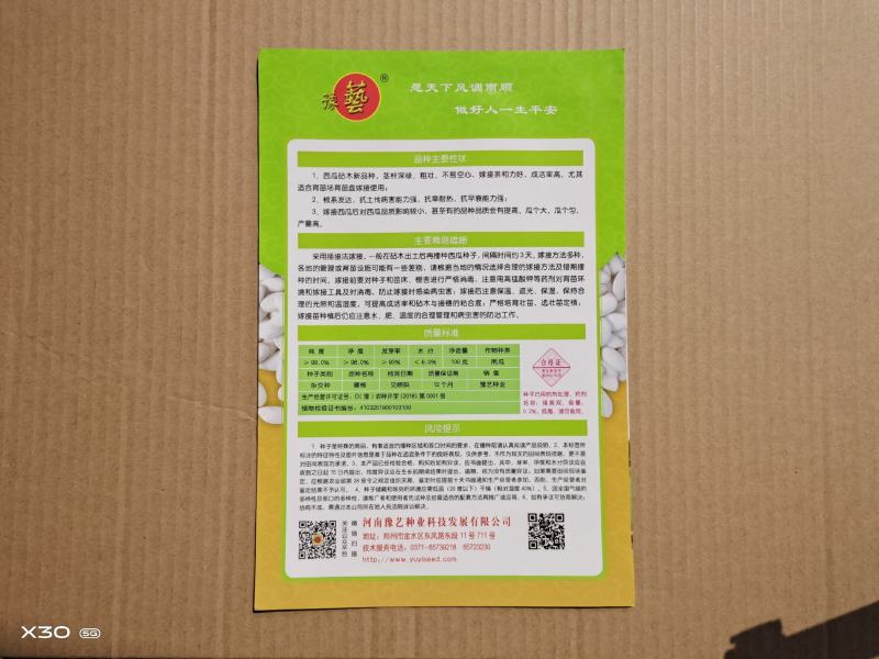 西瓜砧木种子摩根黑杆砧木豫艺种业南瓜种子