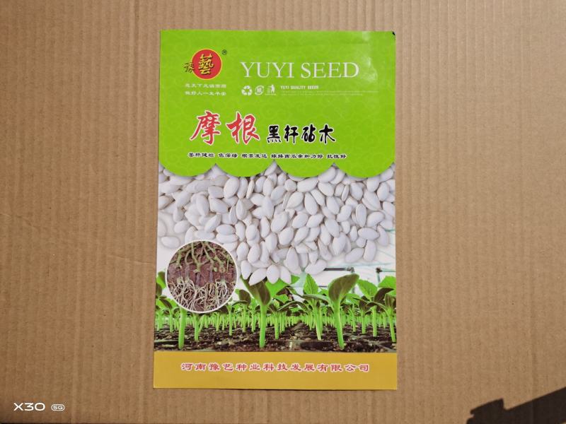西瓜砧木种子摩根黑杆砧木豫艺种业南瓜种子