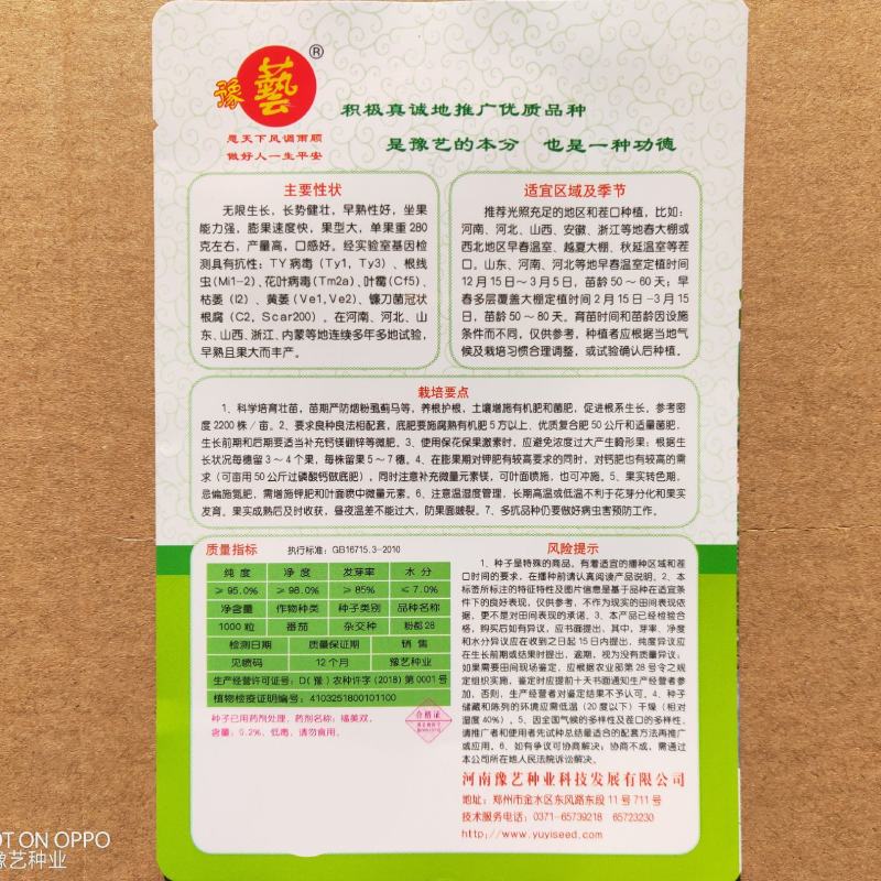 粉都28番茄种子豫艺种业粉果番茄抗病毒大果西红柿
